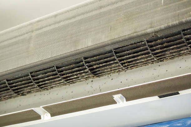 Professional Airduct Cleaning in Kittredge, CO